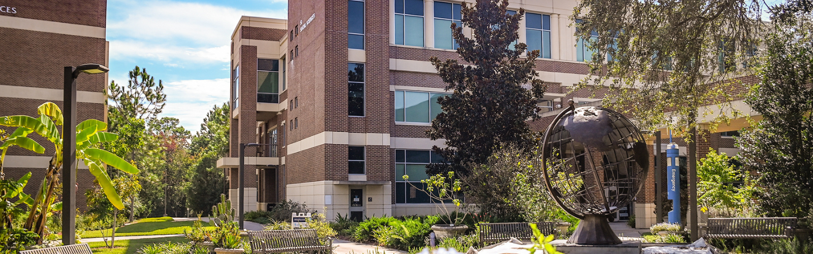 UNF Social Studies building landscape