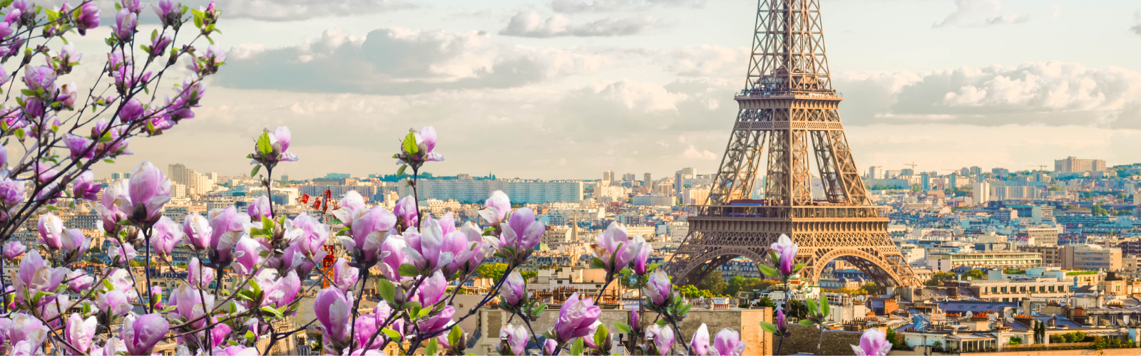 French Country landscape with the Eiffle tower