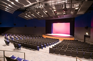 View of the Robinson Theater stage