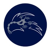 Neuroscience Club Logo