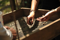 students sifting through material at dig site