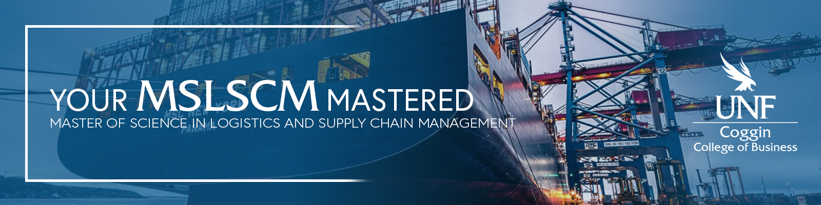 your mslscm master pgoram with port in the background