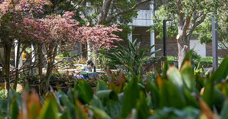 student studying outside