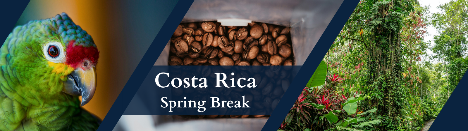 wildlife and coffee beans in Costa Rica