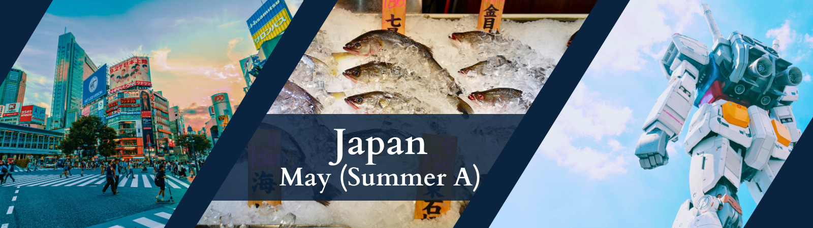 Tokyo street, fish market, cosmonaut in Japan