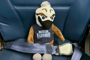 plush Ozzie Osprey in a plane seat