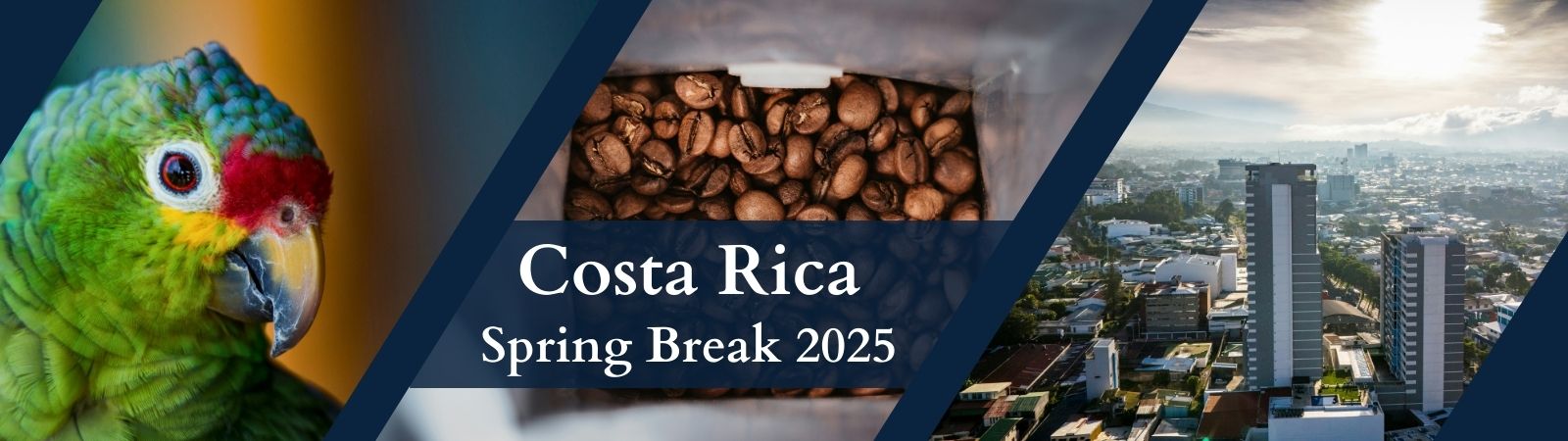Costa Rica Spring Break 2025 a colorful bird whole coffee beans in a container and a skyline of capital San Jose