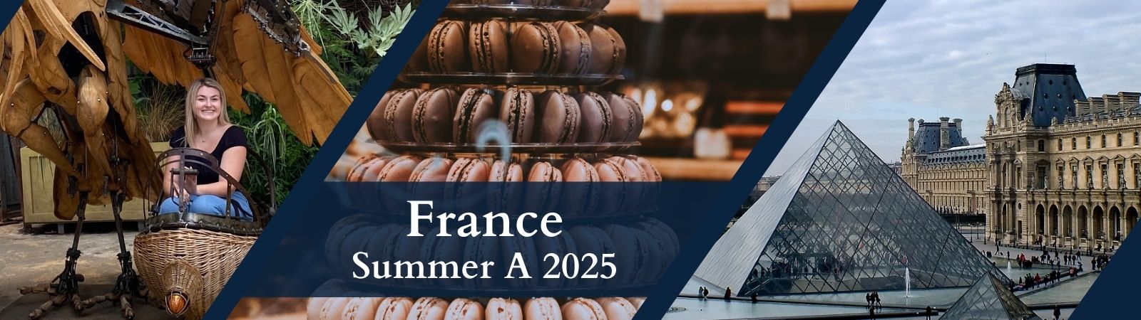 France summer a 2025 a student smiling in a basket sculpture, a pile of macarons, and the Louvre museum