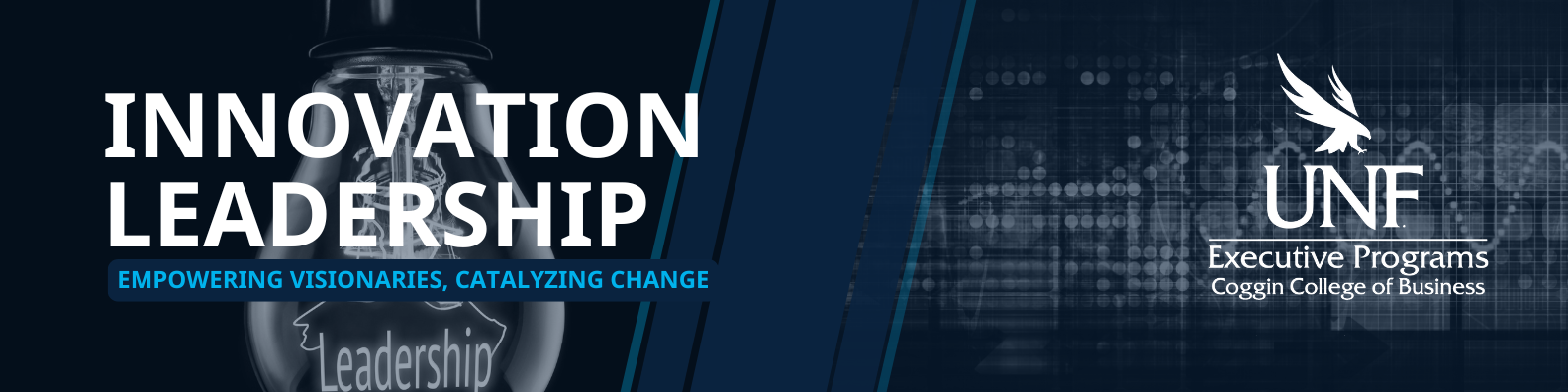 Innovation Leadership, Empowering Visionaries, Catalyzing Change