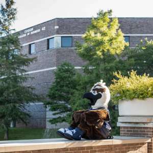 School mascot, osprey sitting in front of Coggin College of Business building