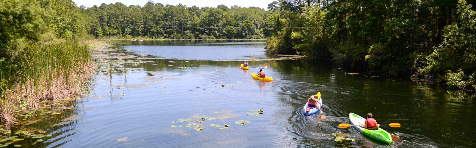 Four kayakers at Eco Adventure kayaking on the river on UNF's campus