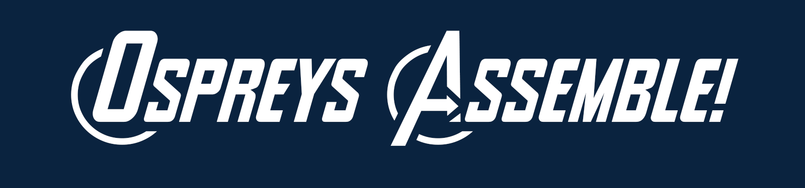 Ospreys Assemble! banner