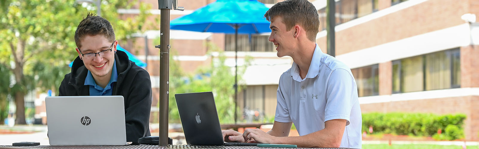 two students studying on laptops
