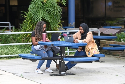 Students studying outside