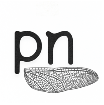 The letters "p" and "n" over a drawing of an insect wing