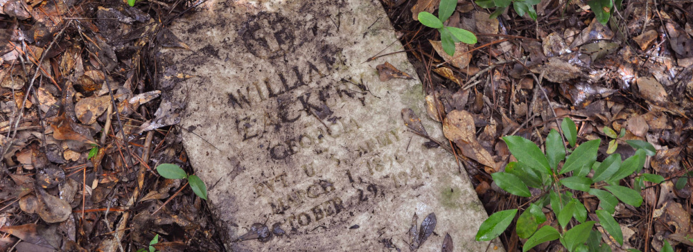 A grave marker surrounded by brown leaves and green plants