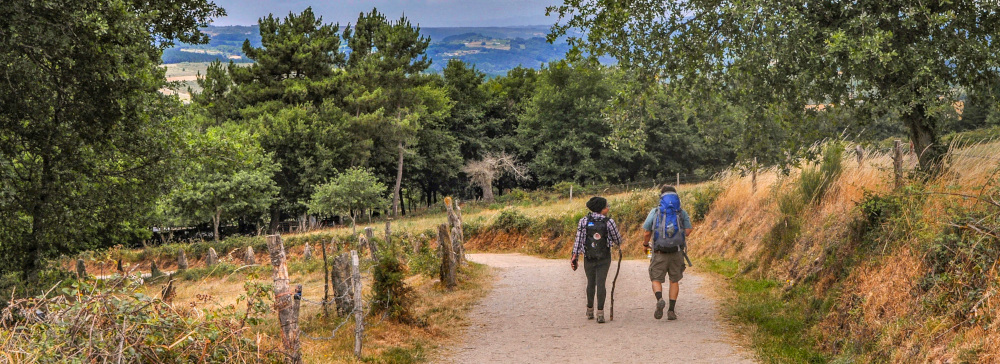Two people walking with backpacks on a country road