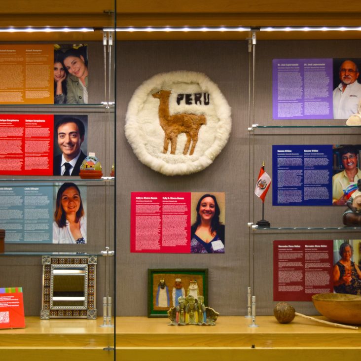 library display with a llama artwork