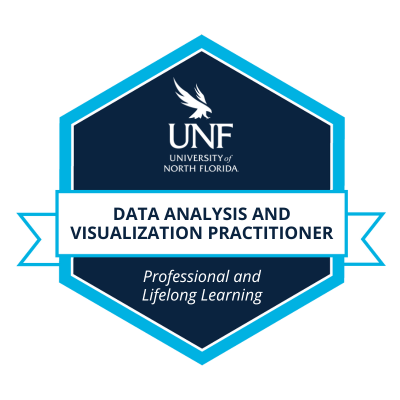 Data Analysis and Visualization Practitioner badge