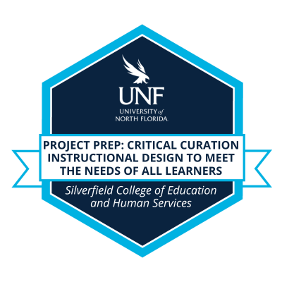 ProjectPrep_Critical_Curation