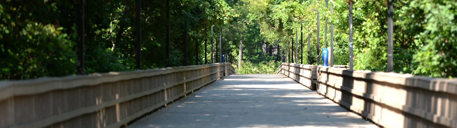 wooden bridge walkway on campus