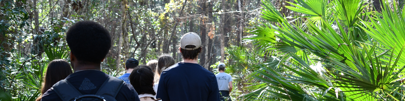 Group of individuals hiking through forest.