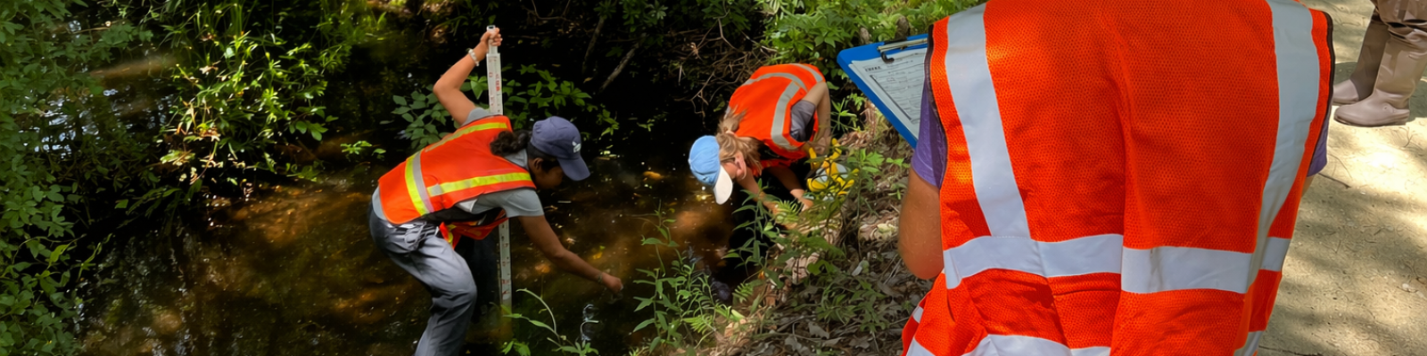 Group in safety vests taking a water sample from a creek next to a road.
