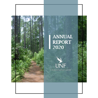 A forest path surrounded by tall trees and lush greenery.