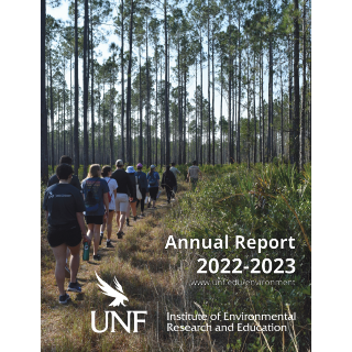 People on a path in a forested area with tall, thin trees. 