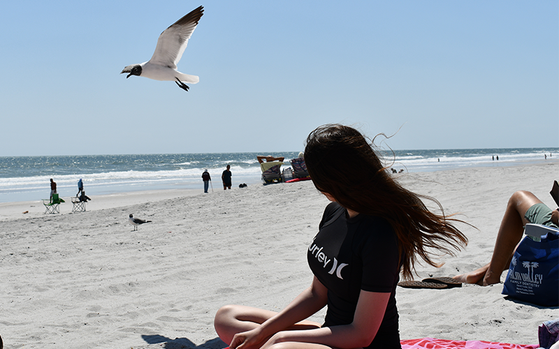 Woman sitting on beach watching seagull fly by.