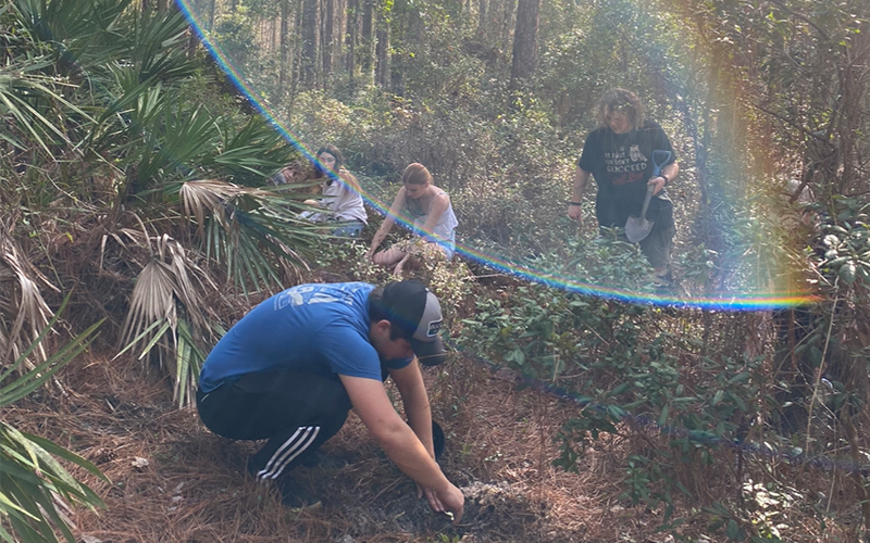 Four individuals removing invasive plants in a wooded area.
