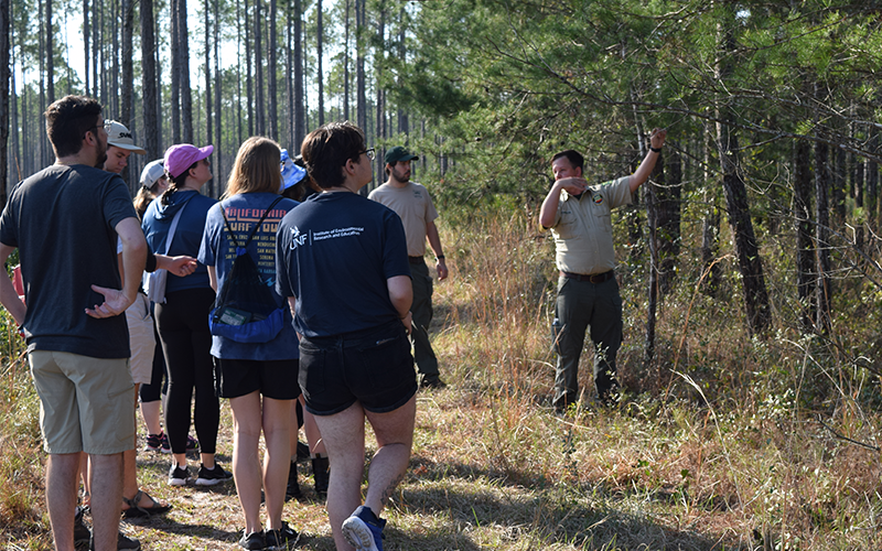 Group of people on a guided nature walk in a forest.
