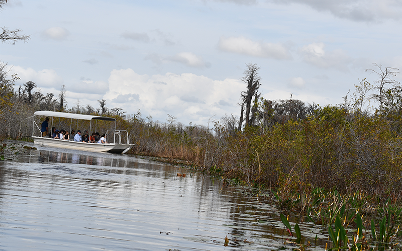 Tour boat navigating through a scenic wetland.