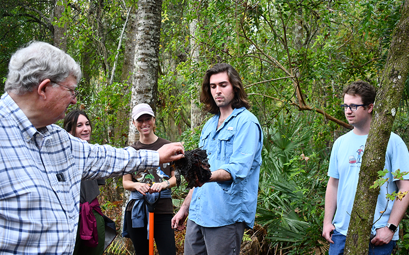 Group of people observing a forest environment.