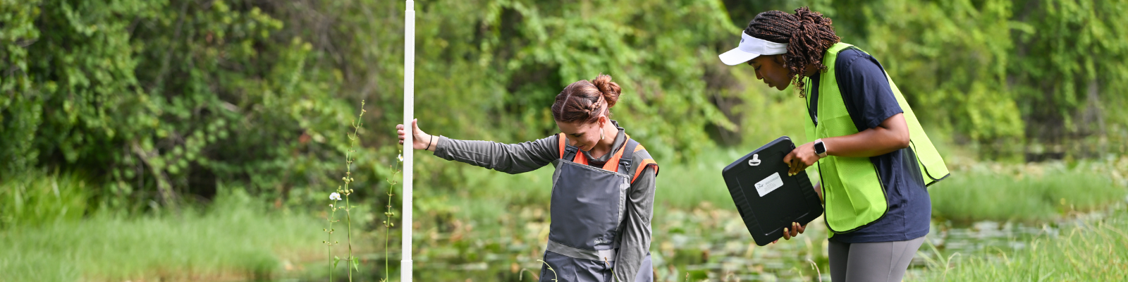 Two researchers collecting field data by a wetland