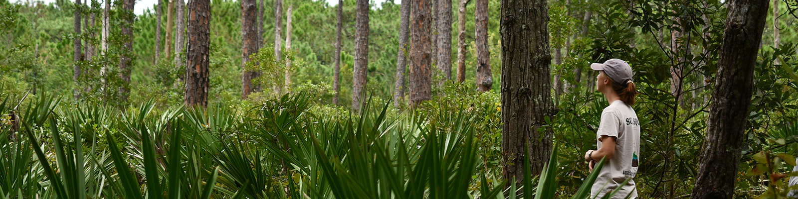 Individual standing in a preserve.