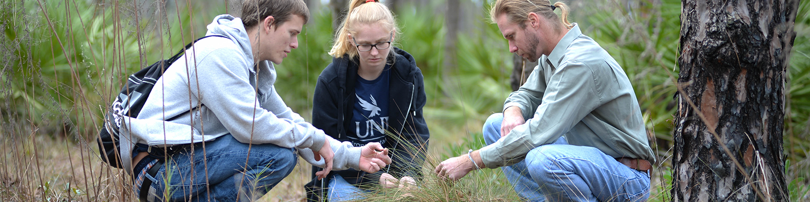 Three people looking at plants