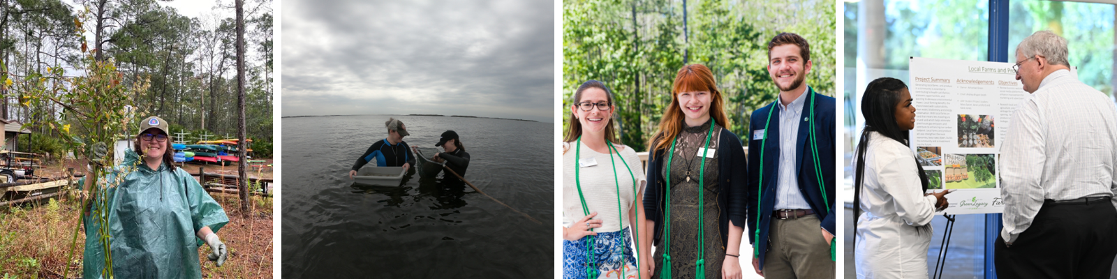 tree planting, water activity, group photo, poster session