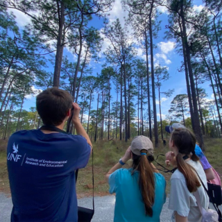 Group using binoculars to observe tall pine trees outdoors.