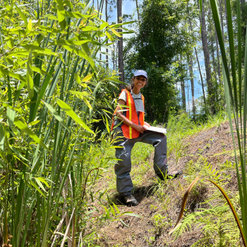 Researcher in safety vest taking notes in wooded area