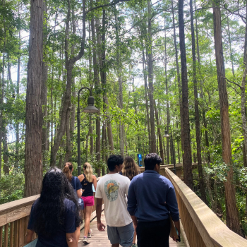 Group walking on wooden boardwalk through wooded nature preserve
