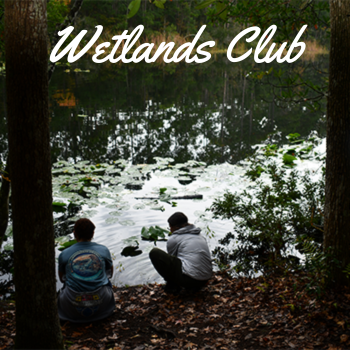 Two individuals in a preserve kneeling down next to a pond. The organization name, Wetlands Club, is written at the top of the photo.