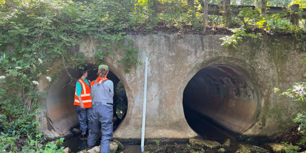 Two researchers measuring stream near culvert openings