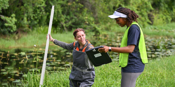Two researchers reviewing tablet data near wetland vegetation