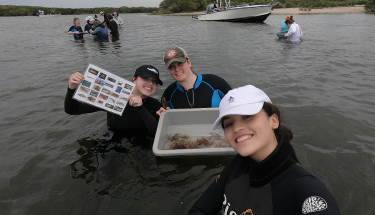 Students in the water