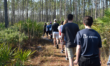 Individuals walking on a path through the forest.