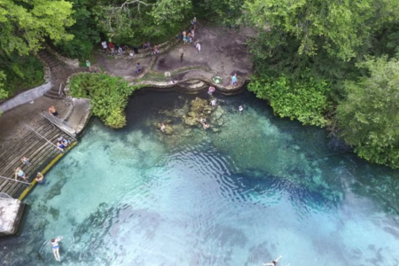 Aerial view of swimmers in a clear spring surrounded by trees