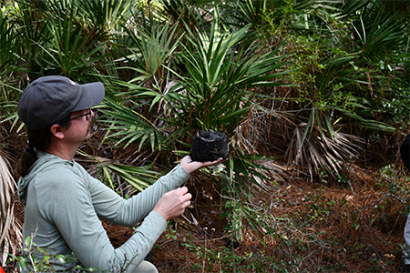 Person holds plant with soil in forested area.