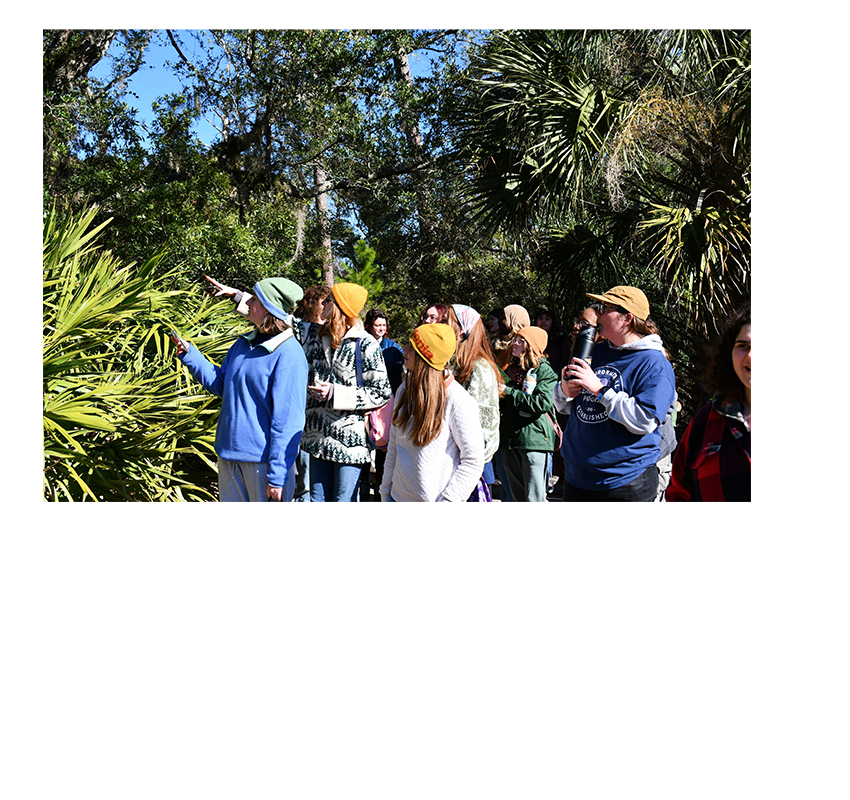 Group on Nature Walk Observing Local Plant Life