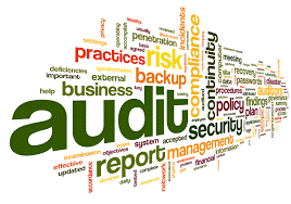 audit word cloud